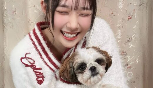 Juice=Juice入江里咲、犬を迎える