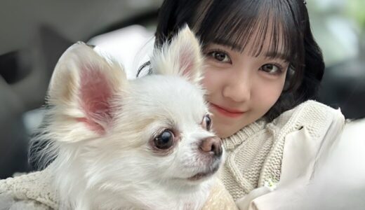 OCHA NORMA窪田七海、愛犬のチコちゃんが旅立つ